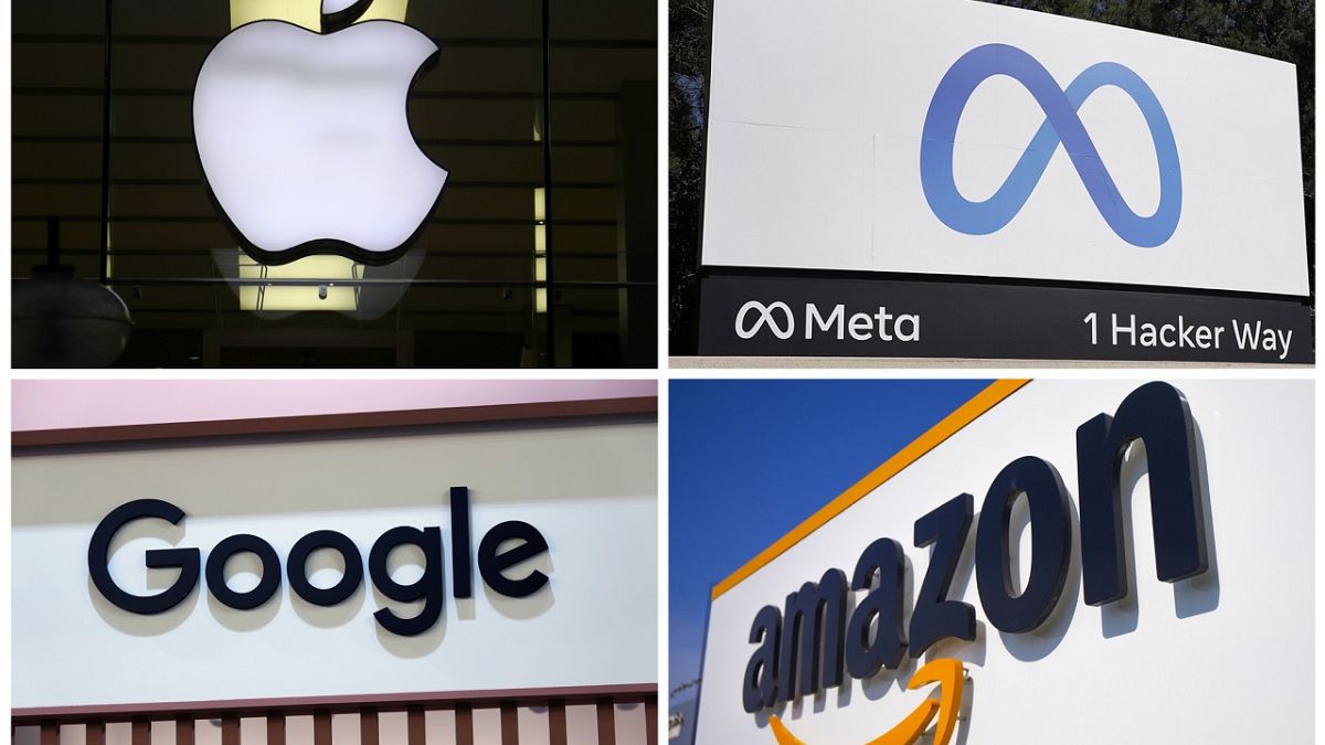 Exclusive: US pitches special role in EU regulatory surveillance in trade deal