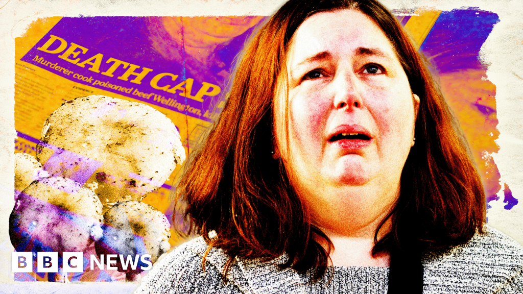 How 'super sleuth' Erin Patterson became true crime obsession