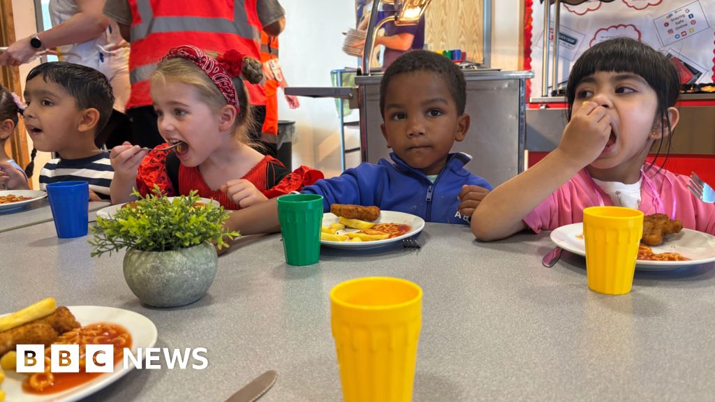 School meals smaller and have less meat due to cost, caterers say