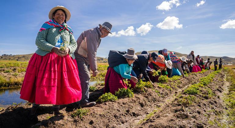Seeding gender empowerment: Women farmers in Peru contend with climate change