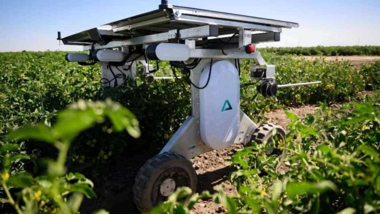 Solar-powered weeding robots offer farmers herbicide-free farming solution