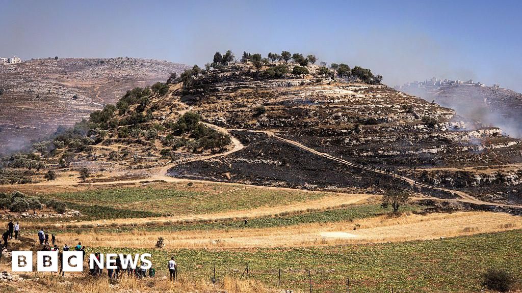 Two Palestinians killed in Israeli settler attack in West Bank, health ministry says